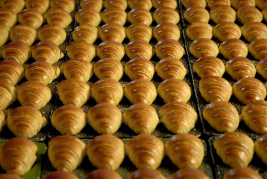 Brioche Pasquier Cerqueux