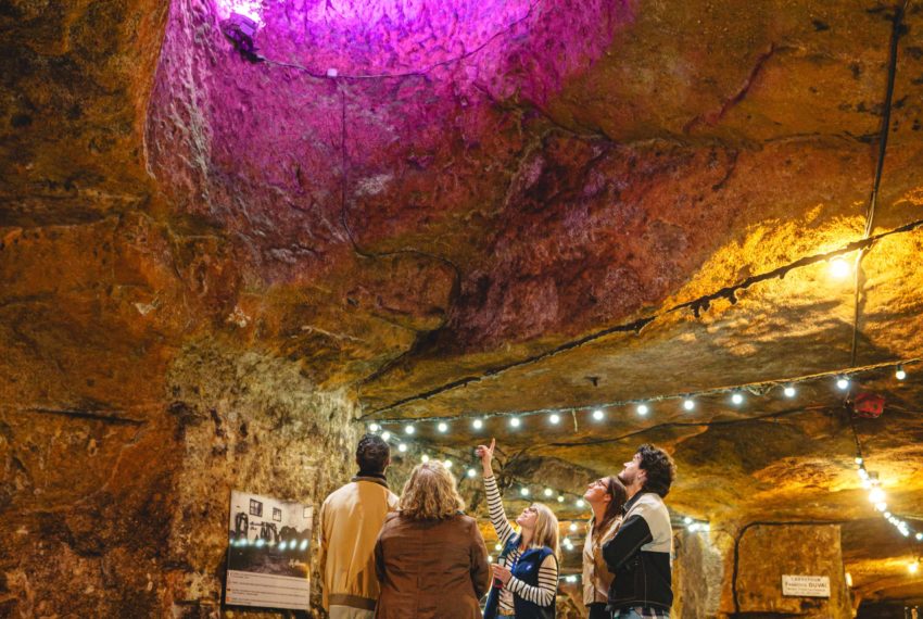 Veuve-Amiot-Christophe-GAGNEUX-Pixim_DSC2390 copie