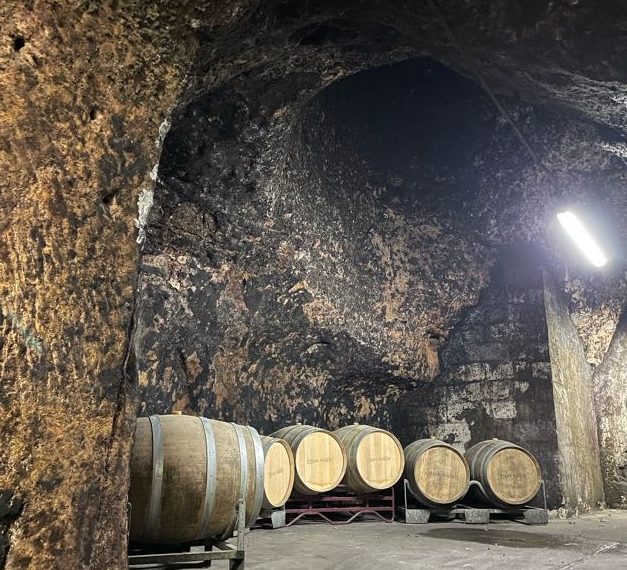 chai fûts de chêne 3