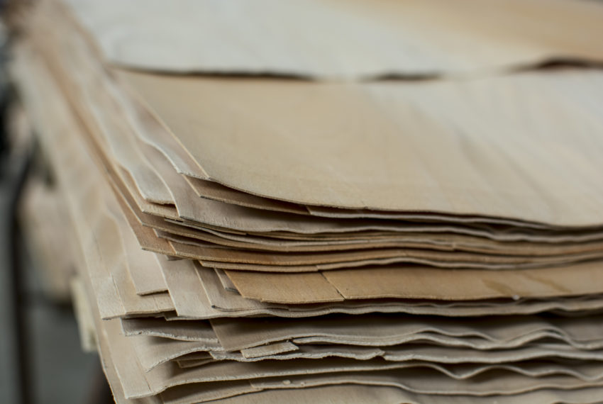 Cardineau placage © Caroline Luez Mallet