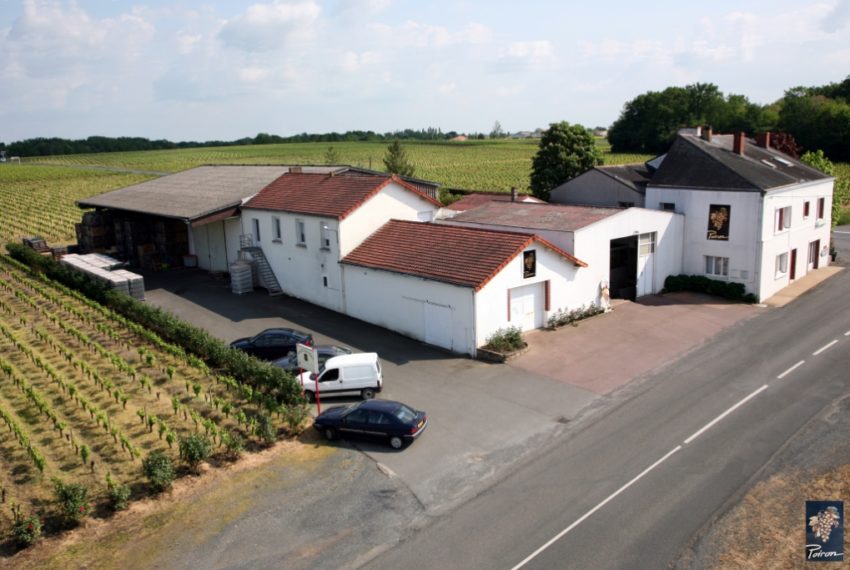 Domaine Henri Poiron et Fils 3