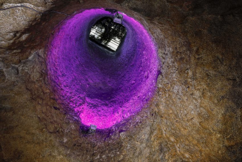 Caves Veuve Amiot (JRVE 2022)