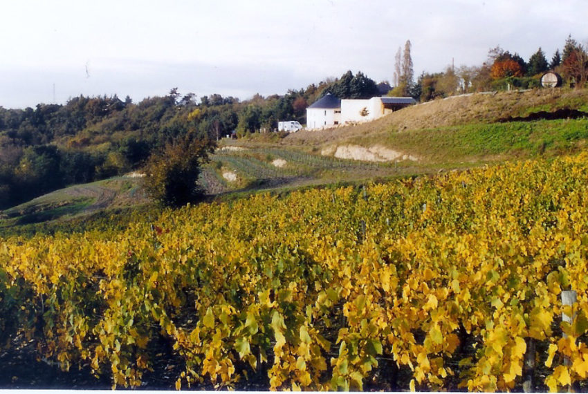 domaine de Rochambeau