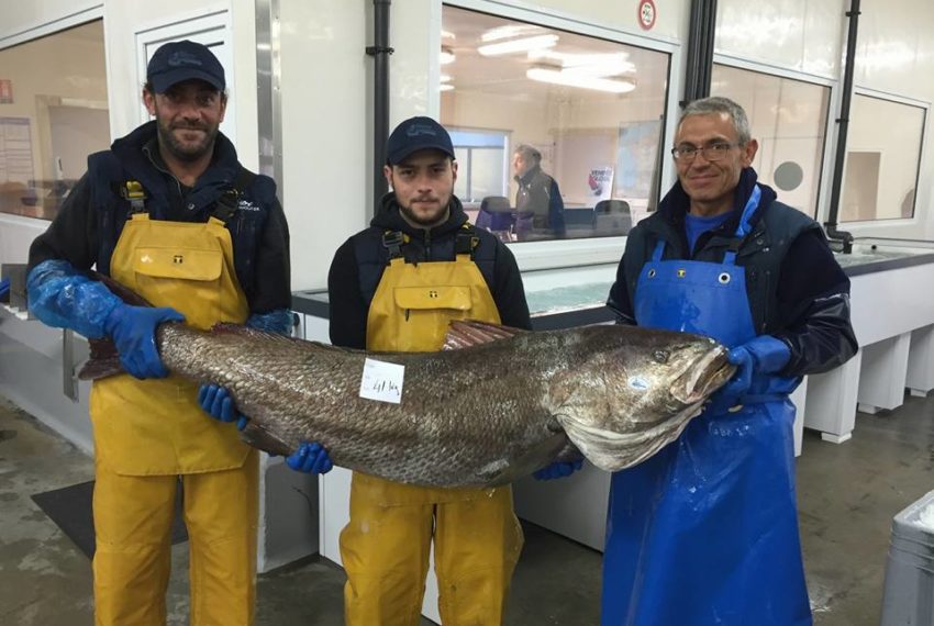 Les Viviers de Noirmoutier (JRVE 2025)