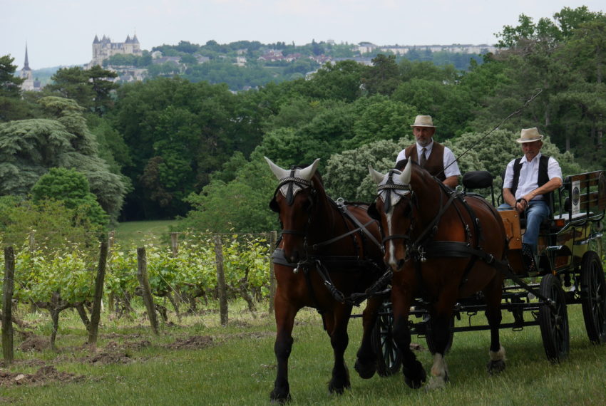 Calèche Langlois Chateau 2022