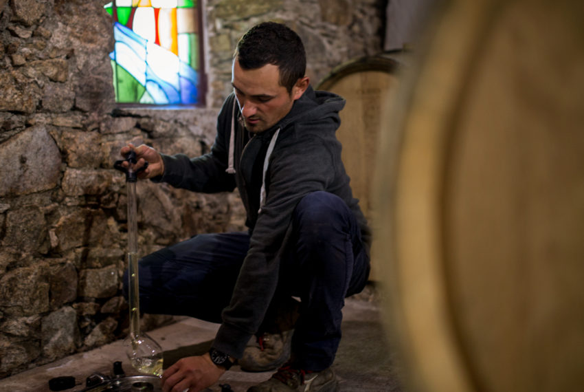 Domaine Ménard Gaborit 2022 4