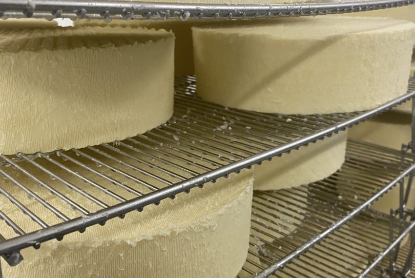 Fromagerie du Haut Anjou PPNC sur claies