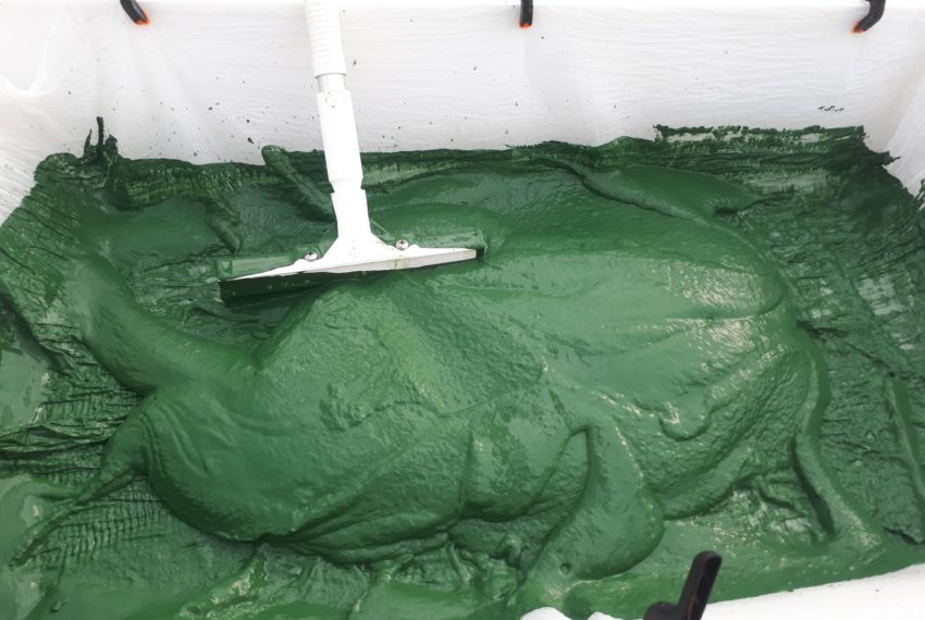 Spiruline Angevine 1