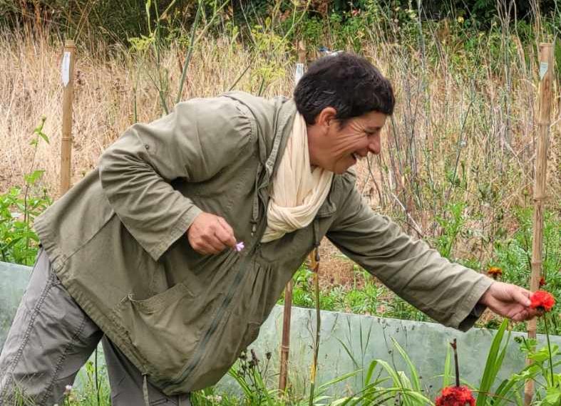 Le jardin de Pauline (10)