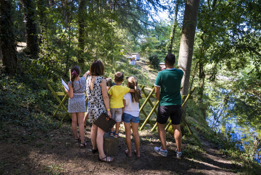 la-ruche-de-mary-saint-andre-de-la-marche-sev-ete-2022-voyage-mary-abeille-famille-jeu-de-piste©FrançoisCrampon (1)