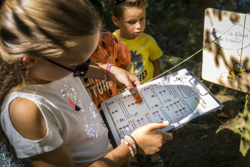 la-ruche-de-mary-saint-andre-de-la-marche-sev-ete-2022-voyage-mary-abeille-famille-jeu-de-piste©FrançoisCrampon (5)