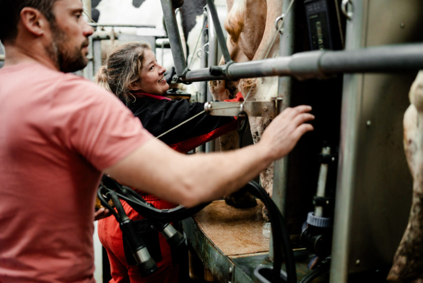 Ferme des p'tits Brillet