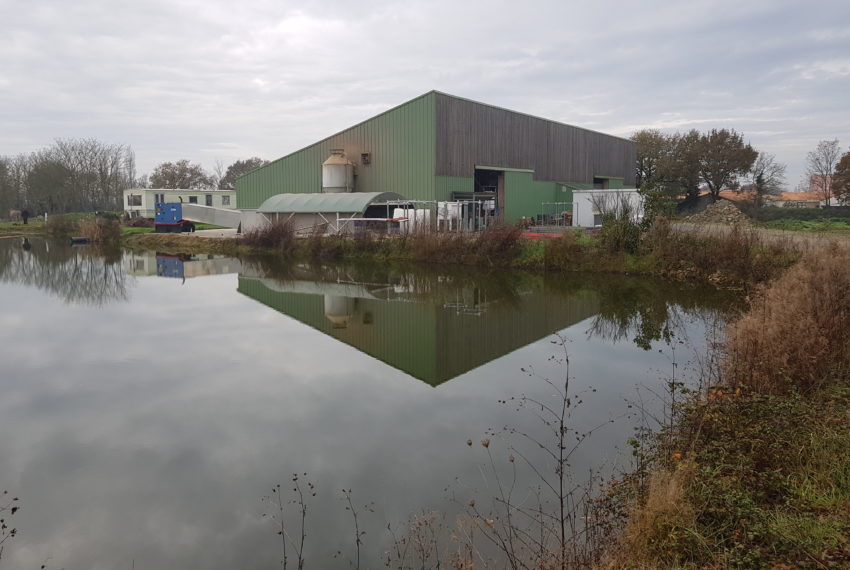Moulin de la Brosse_Photo 2