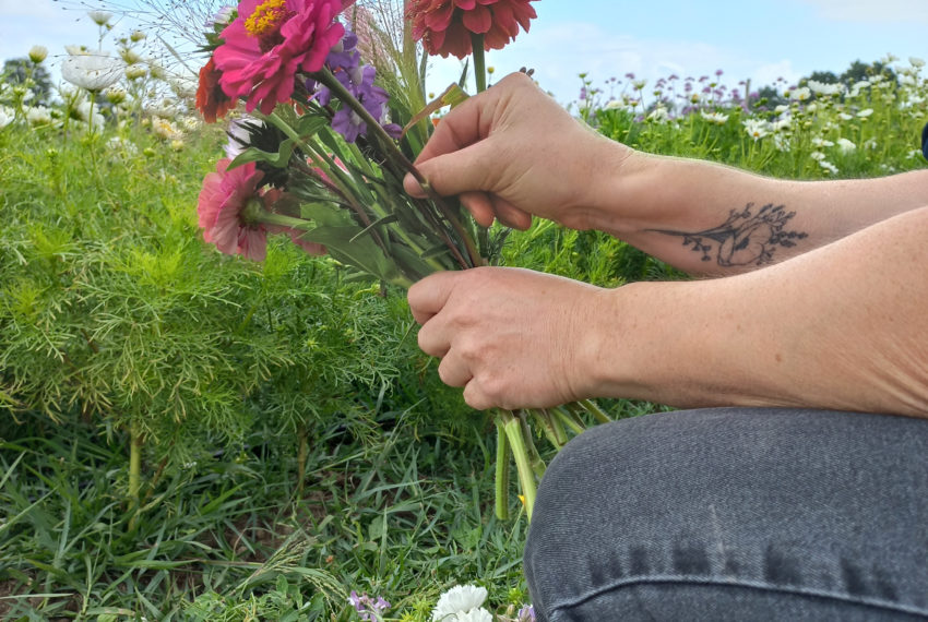 Les Fleurs du Héron Blanc (JRVE 2025)