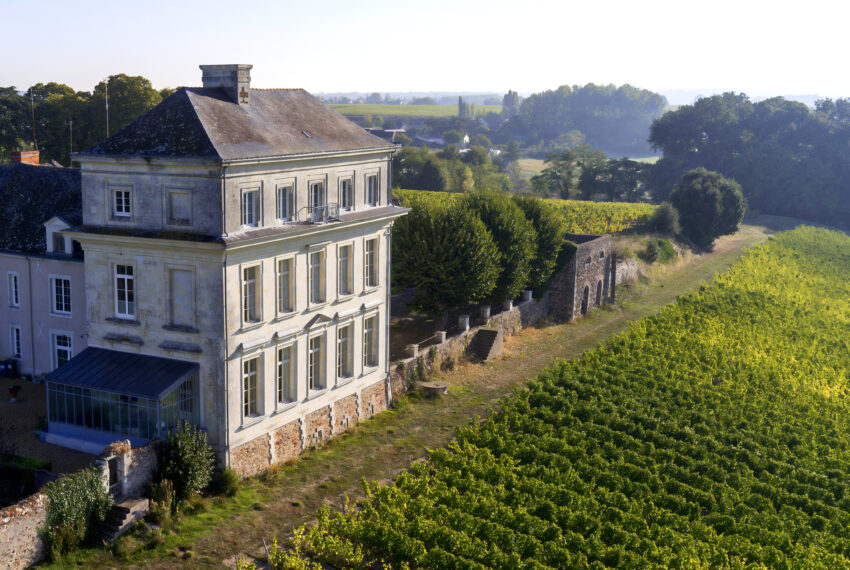 Domaine Biotteau – Château d&rsquo;Avrillé (JRVE 2026)