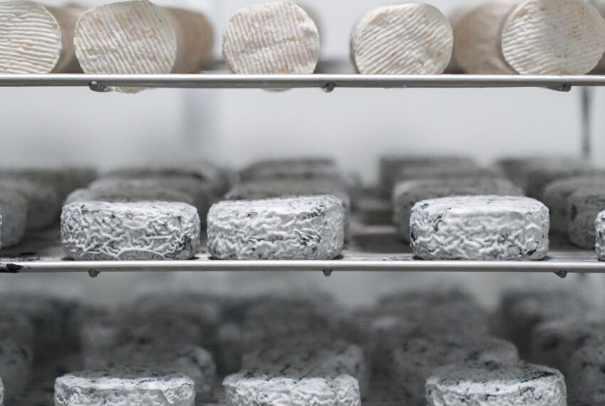 Fromagerie de Rie - BD-00658